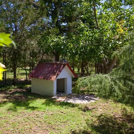 Wonderful With Huge Yard, Close To The Beach