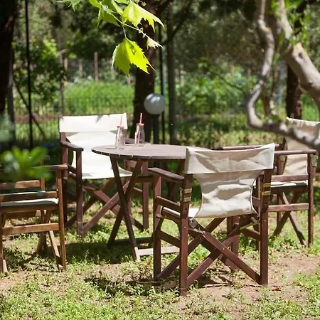 Wonderful With Huge Yard, Close To The Beach *